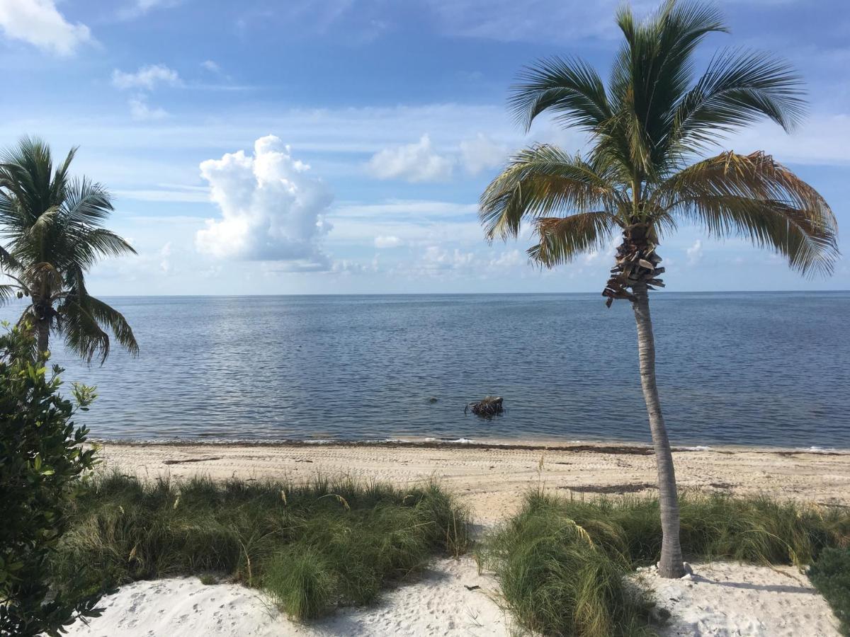 Deer Run On The Atlantic Panzió Big Pine Key Kültér fotó